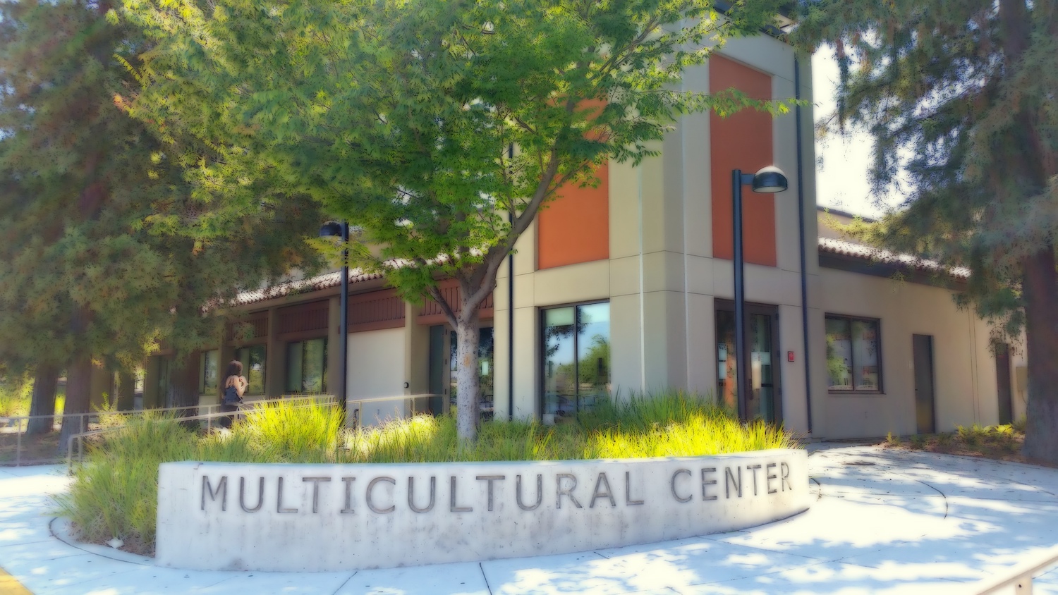 multi cultural center