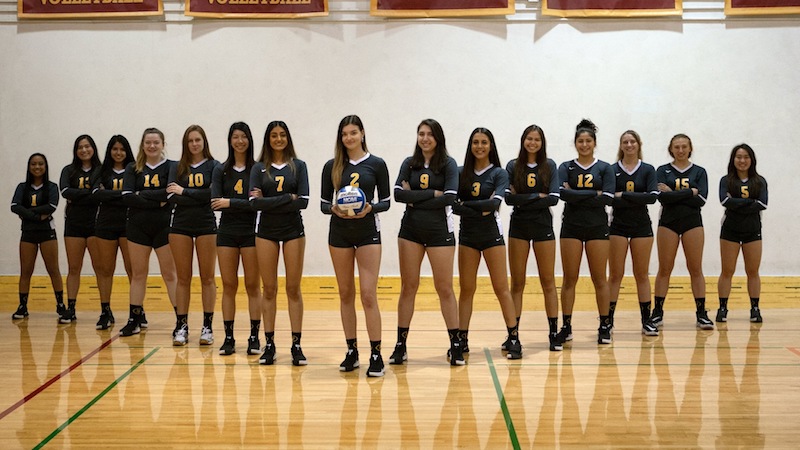 2019-20 Women's Volleyball Team