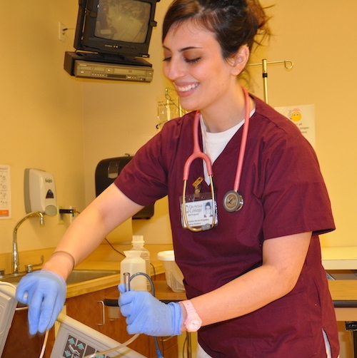 nursing student with IV